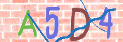 キャプチャ画像