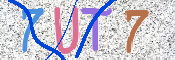 キャプチャ画像