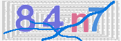 キャプチャ画像