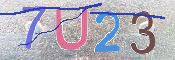 キャプチャ画像
